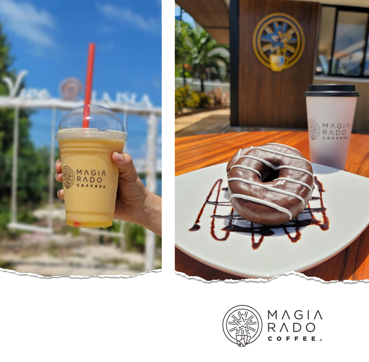 Diseñador de Logotipos en Cancun Quinata Roo