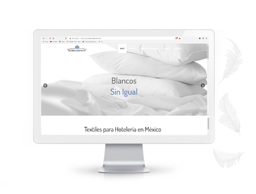 Diseño Paginas Web Puebla